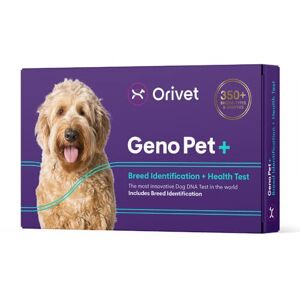 ORIVET GenoPet+ Dog Test de l'ADN   Kit de Test de Race de Chien, Tests génétiques, Risques de santé héritables et Plan de Vie - Publicité