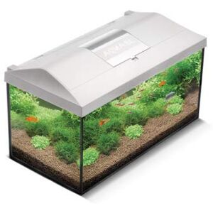 AquaEl Aquarium Leddy LED Complet avec Couvercle, Filtre, Chauffage, Jour et Nuit LED (60 x 30 x 30 cm) Noir - Publicité