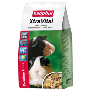 Beaphar – XTRAVITAL – Alimentation pour cochon d'Inde appétente et équilibrée – Contient des graines, nutriments végétaux et proteines animales – Riche en vitamines et en fibres – 1kg - Publicité