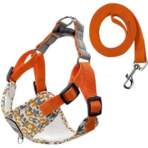 EUTYRG Harnais pour Chien de Compagnie Harnais pour Chien en Nylon réfléchissant Sangle de Poitrine pour Chien Collier pour Animal de Compagnie réglable Respirant pour Petits Chiens (Orange XL) - Publicité