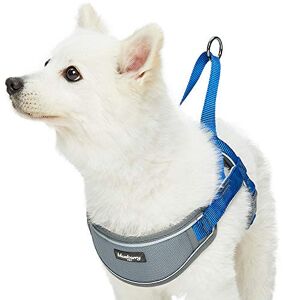 Blueberry Pet Comfy 3M Harnais rembourré avec bandes réfléchissantes pour chien, tour de poitrine 52 cm-66 cm, bleu marine, taille M, harnais de dressage réglable pour chiens - Publicité