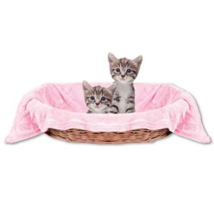 Bestlivings Couverture douillette pour animal de compagnie Confortable et super douce Disponible dans de nombreuses tailles (80 x 120 cm Rose Rose bébé) - Publicité