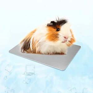 Hileyu Tapis de Refroidissement pour Hamster Tapis de Refroidissement pour Petits Animaux pour Petits Animaux Chiots cochons d'Inde Hamster Lapins Hamsters Chat Lapin (12 * 8cm/4.7 * 3.1in) - Publicité