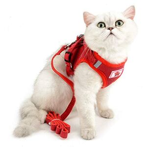 SELMAI Harnais à Mailles pour Chats Petits Chiens Pas de Traction Pas D'étouffement Rembourré Gilet pour Chiot Laisse Laisse pour Chaton Marcher en Plein Air Velours Côtelé Réglable,Rouge,S - Publicité