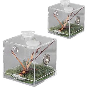 Chamber Cage De Terrarium De Reptile Araignée Insecte, Boîte De Visualisation De Boîte Reproduction Reptile Plastique Transparent pour Les Tarentules Escargot Cricket Araignée - Publicité