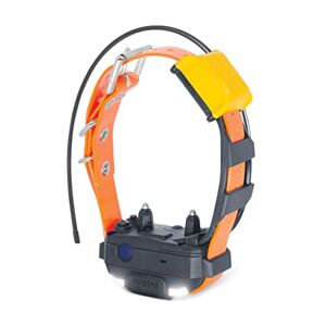 Dogtra Pathfinder 2 Mini Collier Supplémentaire de Repérage GPS et de Dressage Rechargeable Orange, Lumière LED, Étanche IPX9K, 100 Niveaux de Stimulation, Vibration et bip sonore, Portée 5 km - Publicité