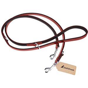 Schnüffelfreunde Laisse Chien Cuir Laisse en Cuir Marron pour Chiens Laisse de Dressage 3 Positions (230 cm, Rouge) - Publicité