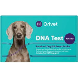 ORIVET Rottweiler Full Breed Profile Dog DNA Test Kit Comprehensive Health and Trait Screen (Kit de test ADN pour Rottweiler) - Publicité