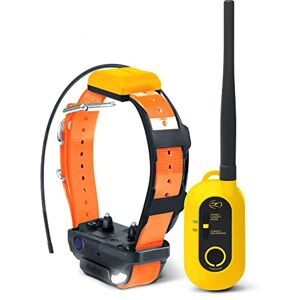 Dogtra Pathfinder 2 Collier de Repérage GPS & Dressage rechargeable, Lumière LED, Application Gratuite et sans Abonnement, Étanche IPX9K, Fonctions de dressage, Portée 10 km, Évolutif jusqu'à 21 Chien - Publicité