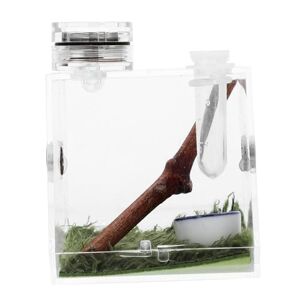 Mipcase Boîte De 6 Pièces Boîte D'élevage D'araignées Sauteuses Cage Araignée Sauteuse Accessoires pour Enclos De Tarentule Reptiles Petite Araignée Boîte d'alimentation Un Verre Bois - Publicité