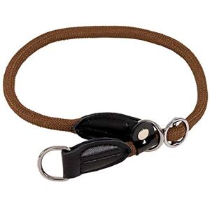 lionto Collier pour Chien Collier Retriever Collier de Dressage, Longueur 55 cm Marron - Publicité