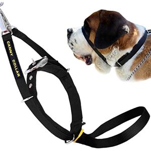 Canny Collier-Colossus, pour Chiens de Grande Race Simple et Efficace Aide à la Formation de Votre Chien pour empêcher Votre Chien de Tirer sur la Laisse - Publicité