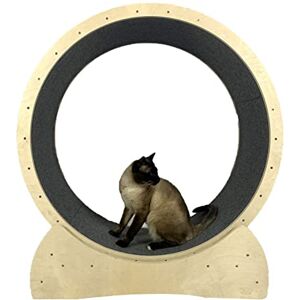 saditesdk Tapis Roulant pour Chats avec Grande Roue, Dispositif de Perte de Poids pour Chats d'intérieur, Roue de Mouvement (A) - Publicité