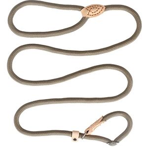 KOSHIFU Laisse Dressage Chien, Collier Laisse Chien, Laisse Réfléchissant, Laisse Coulissante, Laisse Lasso, Laisse de Chien en Nylon 150cm Longeur pour Chiens Petits, Moyens Beige - Publicité