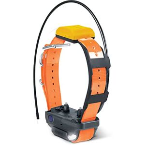 Dogtra Pathfinder 2 Collier Supplémentaire de Repérage GPS et de Dressage Rechargeable Orange, Lumière LED, Étanche IPX9K, 100 Niveaux de Stimulation, Vibration et bip sonore, Portée 10 km - Publicité