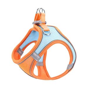 AITODOS TA AiTodos® Harnais pour Chien, Harnais pour Chat, Taille S, Orange, Harnais pour Petits Chiens, pour Promenade de Chien en Plein Air, Dressage Harnais pour Chiens - Publicité