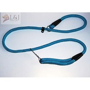 Champion Laisse de dressage en nylon solide pour chien Bleu 14 mm – 150 cm de long - Publicité