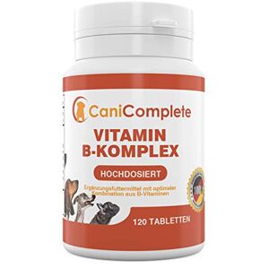 CaniComplete Vitamin B Complet pour Chien Chat : B1, B2, B3, B5, B6, B9, B12, K3, Calcium, Acide Folic. Prend en Charge Les Fonctions nerveuses importantes. Publicité