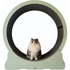 saditesdk Tapis Roulant pour Perte de Poids, Roue pour Chat, Jouets pour Animaux de Compagnie avec Verrouillage de sécurité, Rotation silencieuse pour Chats d'intérieur, Roue de Mouvement (100 cm (39 - Publicité