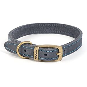 Ancol Timberwolf Collier en Cuir pour Chien - Publicité