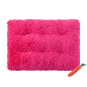 FANSU Matelas Lit pour Chien Chat, Coussin pour Animaux de Compagnie Confortable Doux Peluche Panier Chien Lavable pour Chiens de Petite et Moyenne Grande Taille (XS-45X30CM,Roso Rose) - Publicité