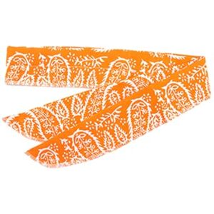 Wilitto Collier de refroidissement pour chien et chat Bandana léger pour soulager la chaleur Pour chiens et chats Bavoir réglable pour rester au frais par temps Bandana léger Orange - Publicité