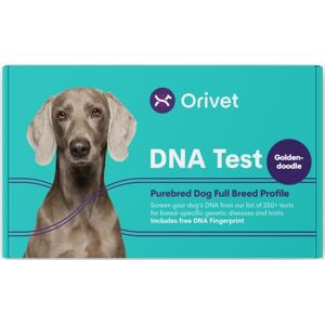 ORIVET Goldendoodle Kit complet de test ADN pour chien - Publicité