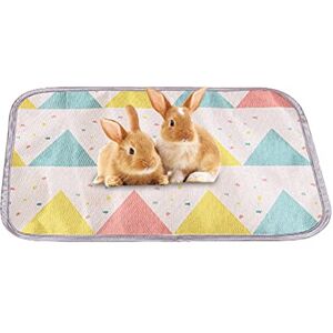 Valicaer Lot de 2 Tapis pour Cage De Cochon d'Inde,Tapis Fond de Cage Lapin Lavable,Réutilisable,pour Lapin Cochons d'Inde Furet Petits Animaux,Absorbant Tapis Fond de Cage Rongeur,Tapis de Pipi - Publicité