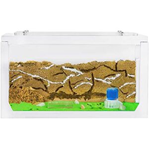 AntHouse Fourmilière Naturelle en Sable   Kit Commencement 3D 20x10x10 cm Blanc   Fourmis Incluses - Publicité