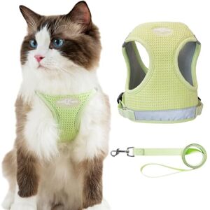 Anlitent Veste anti-fugue avec harnais et laisse pour chat pour dressage de marche, harnais et laisse pour chiens et chats de petite race, contrôle facile, collier à dégagement rapide (taille S, vert - Publicité