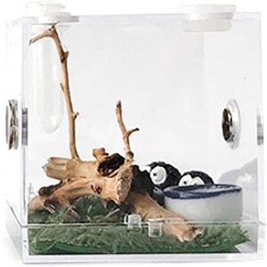 DISPRA Boîte D'Poissons, Réservoir Terrariu Reptiles, Boîte D'Reptiles en Acrylique Cage Cricket Araignée Terrarium Escargots Tarentules Geckos Boîte D'Poissons Iso - Publicité