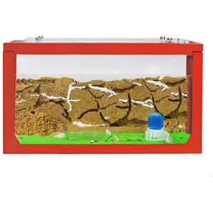 AntHouse Fourmilière Naturelle en Sable   Kit Commencement 3D 20x10x10 cm Rouge   Fourmis Incluses - Publicité