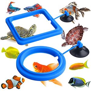 Molain Anneau d'alimentation pour Poissons, 2 pièces pour Aquarium Poisson Tortue réservoir Accessoires Cercle d'alimentation pour Guppy bettas Poisson Rouge Tortue (Bleu) - Publicité