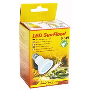 Lucky Reptile LED Sun Flood 6,5 Watt Lampe LED pour Douille E27 Lampe pour Terrarium avec Une Puissance Lumineuse impressionnante pour Terrarium Eclairage du Terrarium 1 pc - Publicité