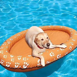 Ginkago Bateau Gonflable Bateau pour Chiens Matelas Gonflable Piscine Plage Jouets Animaux Matelas Gonflable Piscine Animaux flottants Chiens Bouée Flottante - Publicité