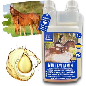 Emma Vitamine b complexe cheval I Multivitamines pour chevaux chevaux vitamines avec vitamine C K B1 B2 B6 B12 zinc cheval I B vitamines complexe système immunitaire Vit b jument poulain nourriture 1L - Publicité