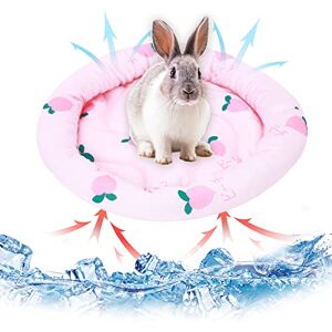 Hileyu Petits Animaux Matelas Refroidissant Lit Lapin Hamster Cooling Pad Summer Ice Silk Sleeping Bed for Small Pet Puppy Guinea Pigs Hamster Rabbits Hamsters Cat (Pink) - Publicité