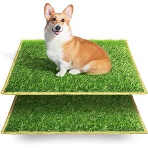 Hompet Lot de 2 tapis d'herbe pour chien, tapis de dressage pour chien, gazon artificiel, tapis de propreté pour chien, tapis de propreté pour chiot, utilisation en intérieur et en extérieur 59cmx46cm - Publicité