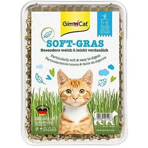 GimCat Soft-Gras Herbe à chat tendre et riche en vitamines avec une pousse rapide en seulement 5 à 8 jours 1 barquette (1 à 100 g) - Publicité