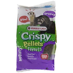 VERSELE-LAGA Versele Laga Aliment Furets Crispy pellets Ferret Pro 700 G - Publicité