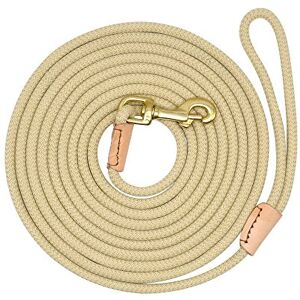 PET ARTIST Laisse de dressage robuste en nylon tressé, pour chiens de petite, moyenne ou grande tailles, 10 m, 20 m, 5 m, 3 m de long - Publicité