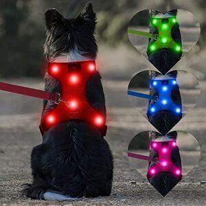 LED Harnais pour chien Harnais pour chat Rechargeable Réfléchissant M