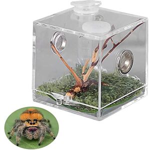 Chamber Cage De Terrarium De Reptile Araignée Insecte, Boîte De Visualisation De Boîte Reproduction Reptile Plastique Transparent pour Les Tarentules Escargot Cricket Araignée - Publicité