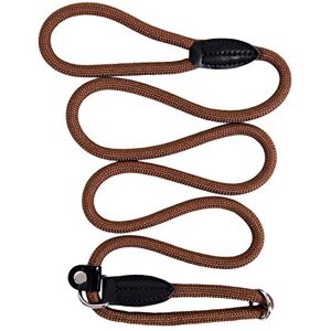 lionto Laisse Retriever Laisse pour Chien Laisse de Dressage Laisse de Traction, Longueur 170 cm Marron - Publicité