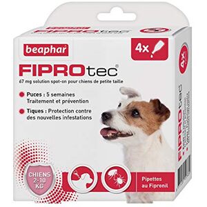 Beaphar – FIPROTEC 67 mg – Solution spot-on pour petits chiens (2-10 kg) – À base de Fipronil – Élimine les puces – Protège contre les infestations par tiques et puces – 4 pipettes de 0,67 ml - Publicité