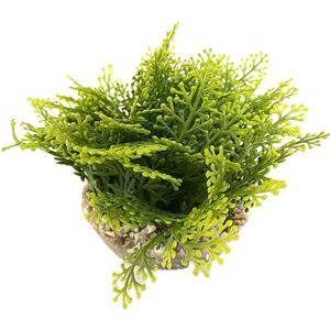 Tyrol Plante d'Aquarium Artificielle XL 20CM Décoration pour Aquarium Plante d'intérieur en Plastique sur Socle Mousse Tapis Vert Ancrage Facile au Fond de l'Aquarium Fabriquée en France - Publicité