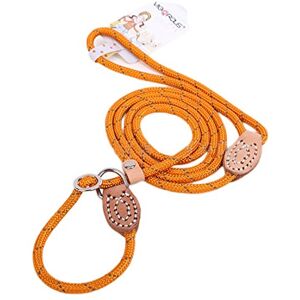 feiling Corde Chien Laisse Dressage d'entraînement 2 en 1 Collier Laisse Lasso Sangle Glissement 1.5M Chaîne éducative l'Obéissance Corde d'escalade (M 0.8cm, Jaune) - Publicité