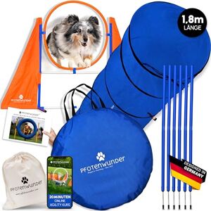 PfotenWunder Set d'agility pour Le Chien + 6 Barres de Slalom, 1 Tunnel, pour Petits et Grands Chiens, équipement d'entraînement Sport Jouets Parcours, Sport pour Chiens Outils d'agilité - Publicité