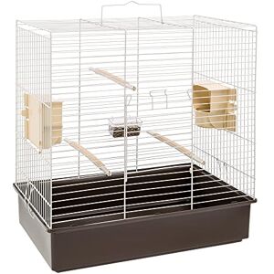 Ferplast Cage à Oiseaux SONIA LARGE Grande Cage pour Oiseaux, Perruches, Perroquets, Toui, Calopsittes, en Métal, Accessoires inclus Mangeoires rotatives Perchoirs, 61,5 x 40 x h 65 cm. Publicité