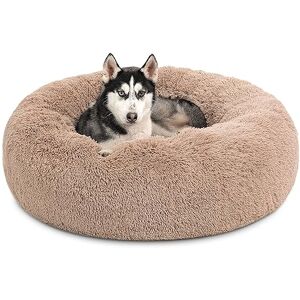 Bedsure Lit pour Chat Grand Donut Lits pour Chats d'intérieur, lit Moelleux pour Chaton Lavable, lit Douillet en Forme de Beignet avec Fond antidérapant, Gris, L 91 x l 91 x H 25 cm - Publicité